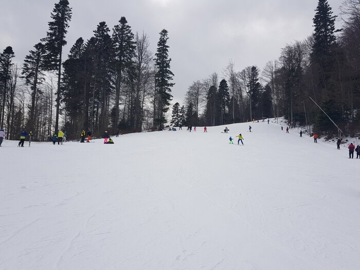 mersul la ski